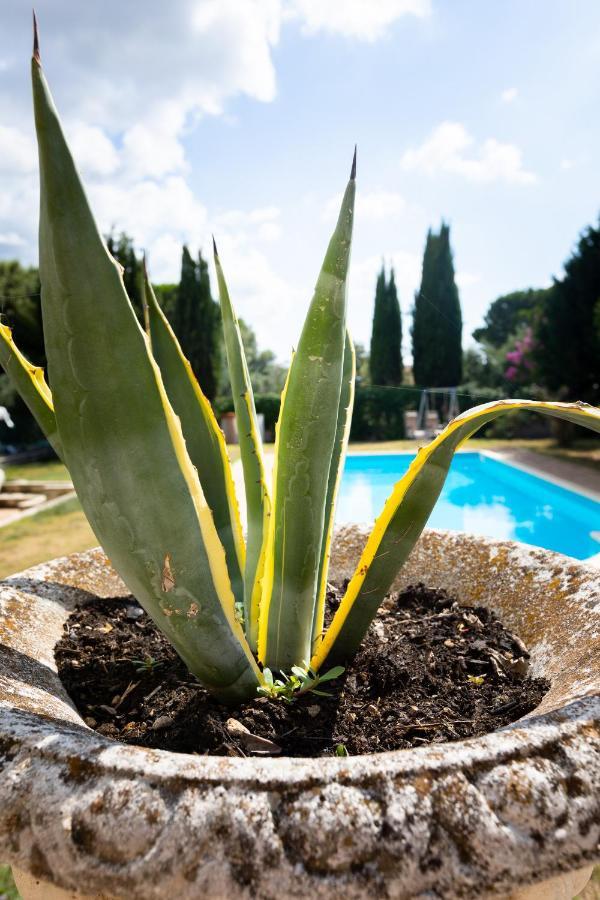 Appartamento Villa Matone Grottaferrata Dış mekan fotoğraf